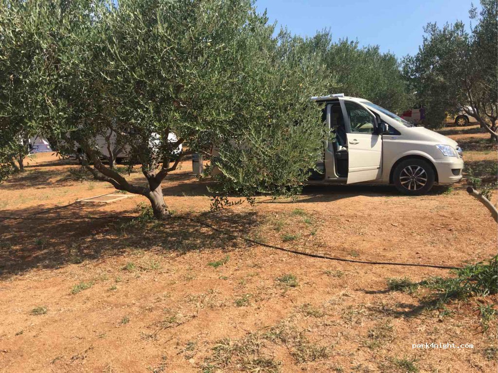 Camping Wodenca — foto
