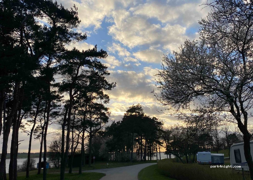 Roskilde Camping — foto 3