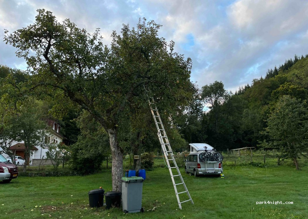 « Aire naturelle de Montchardon » — foto 2