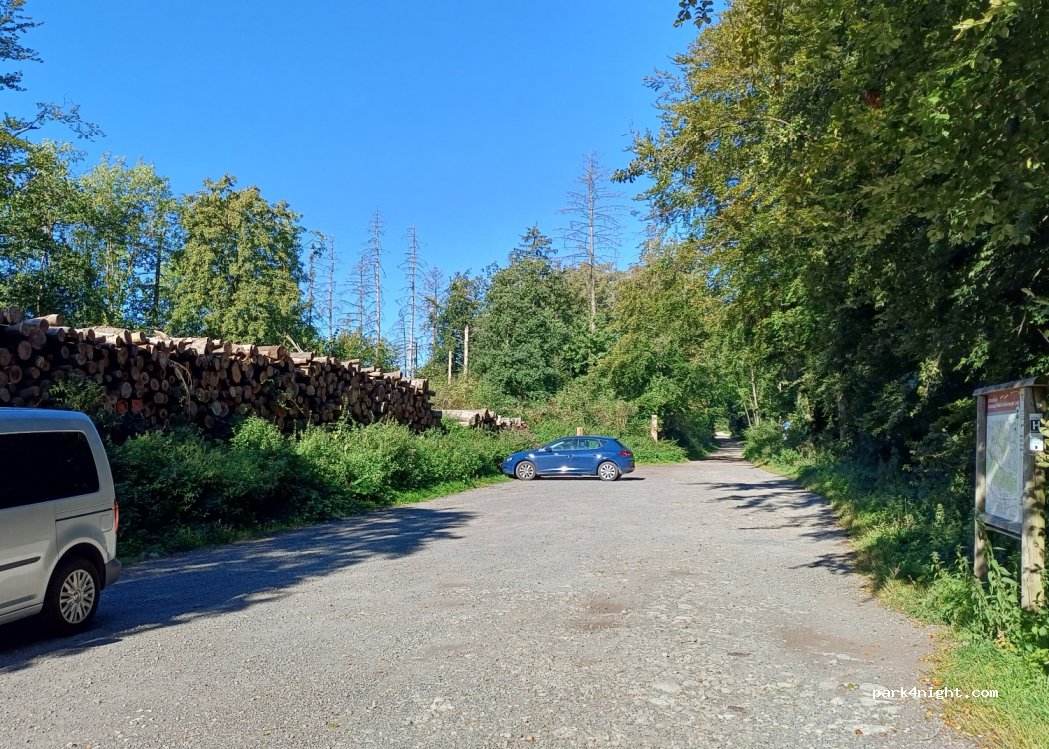 (49536) Lienen - Hermannsweg — foto 3