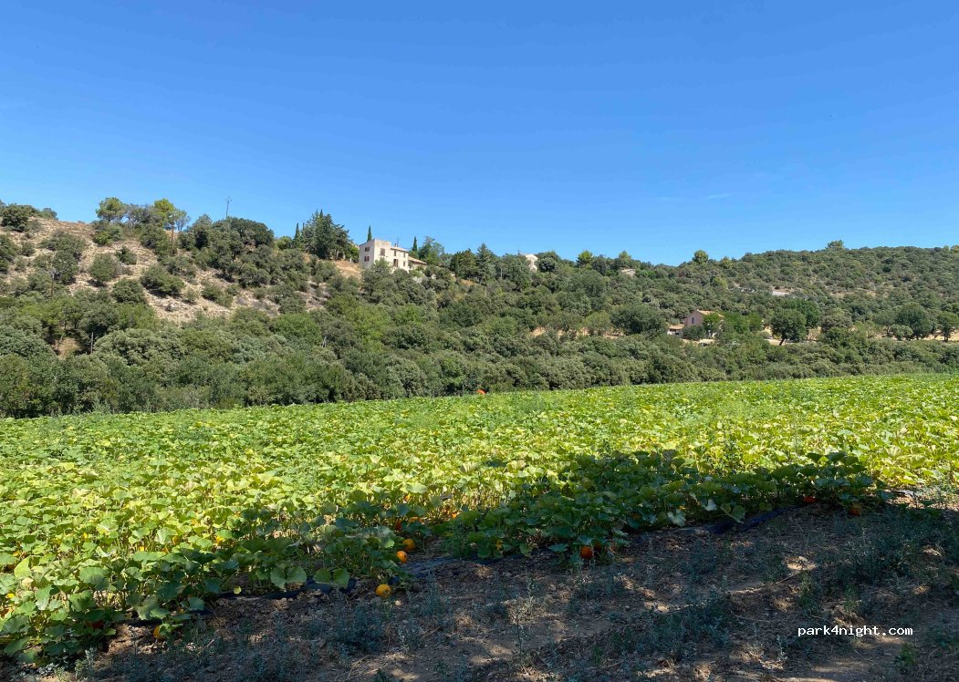 (04210) Valensole - D4 — foto 3