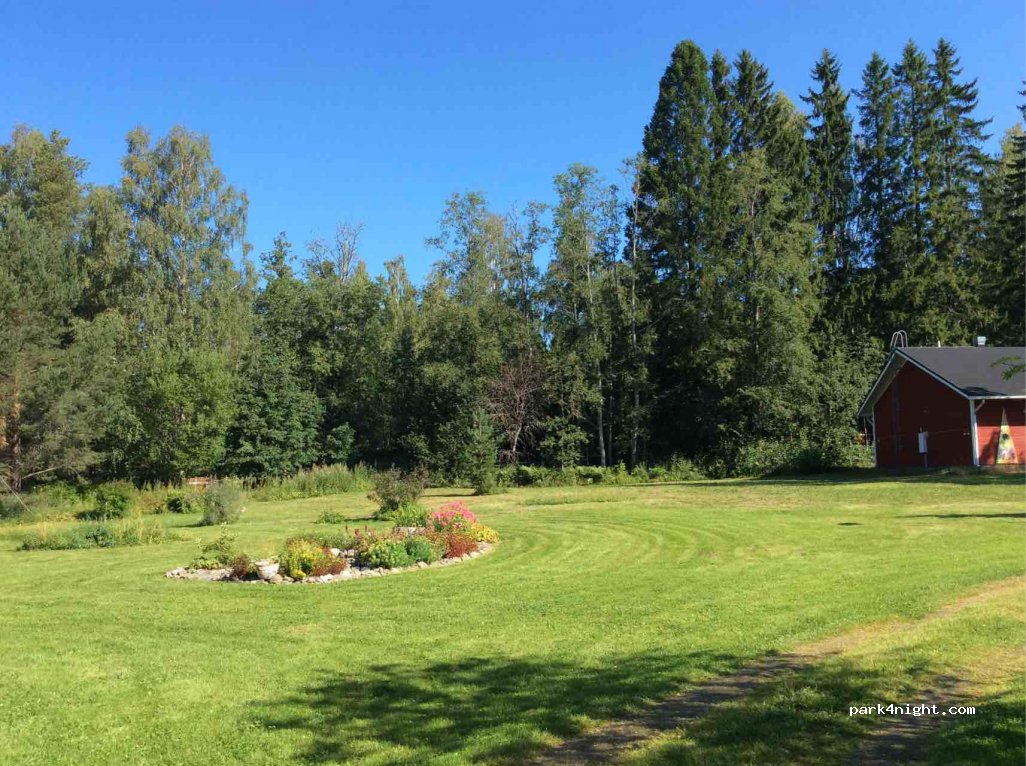 KOIVUNIEMI — foto