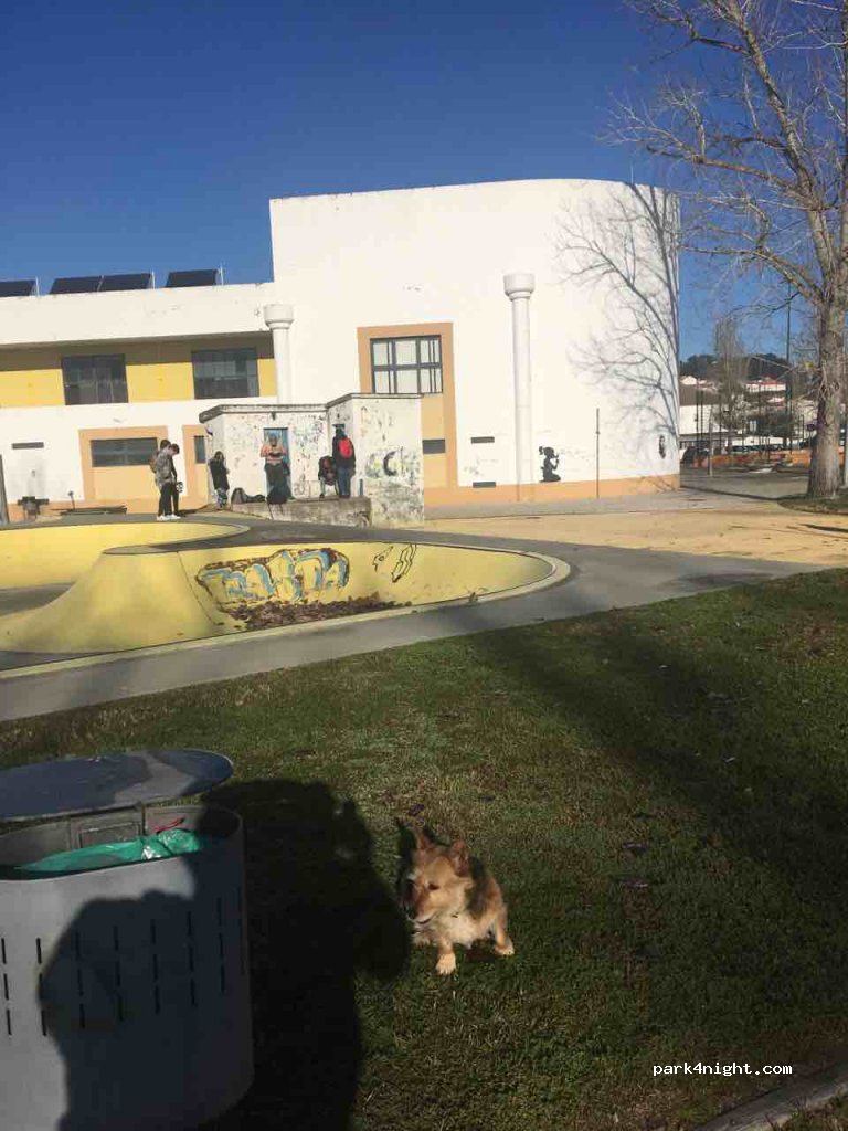 (2100) Coruche - Coruche — foto 2