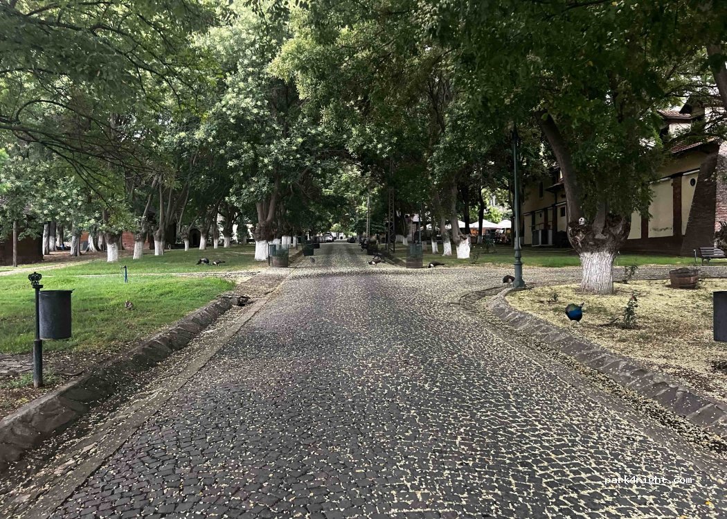 Кралска Винарија Кралица Марија — foto 4