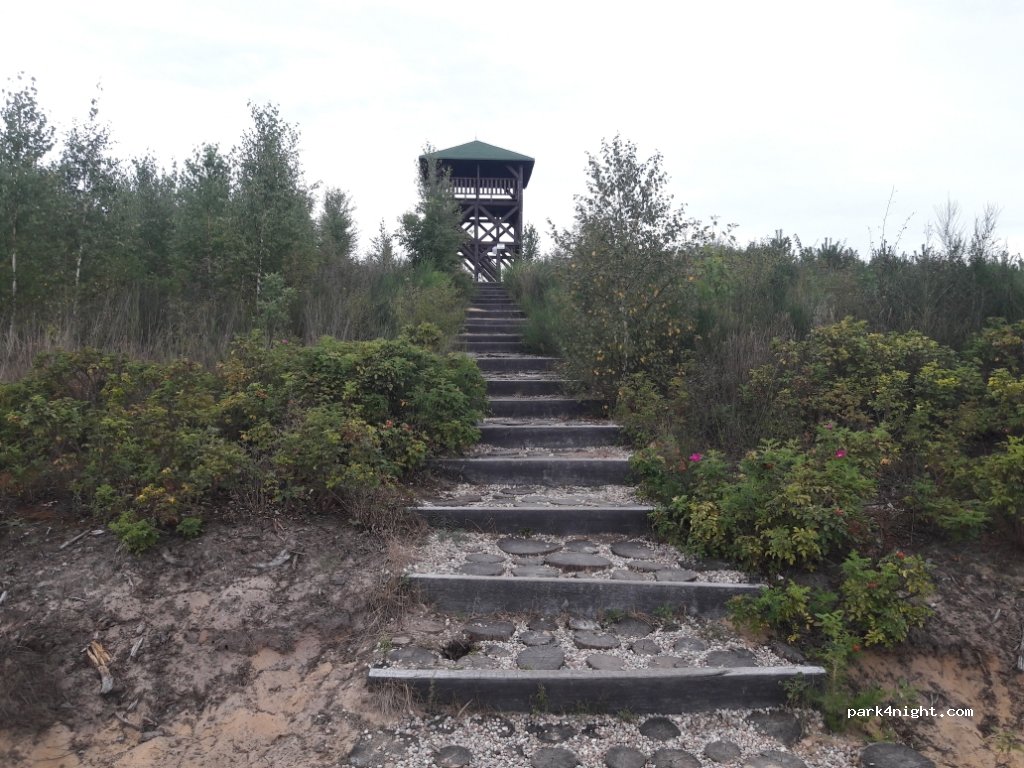 ()  - Tucholska — foto