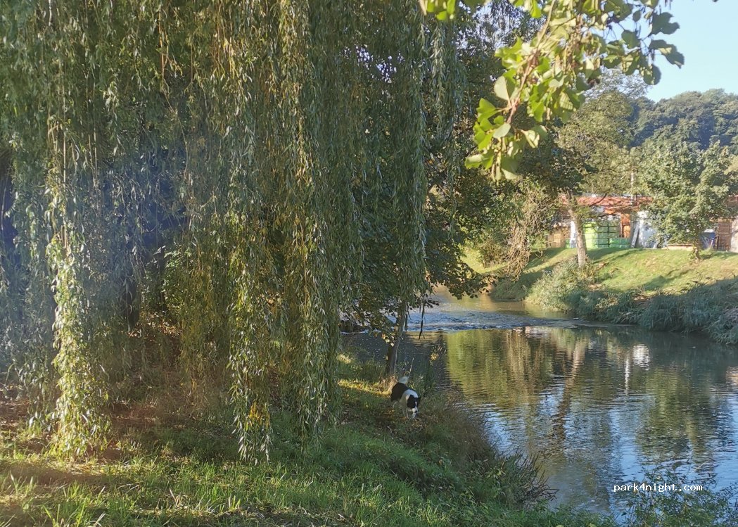 (73453) Abtsgmünd - Brühl — foto 3