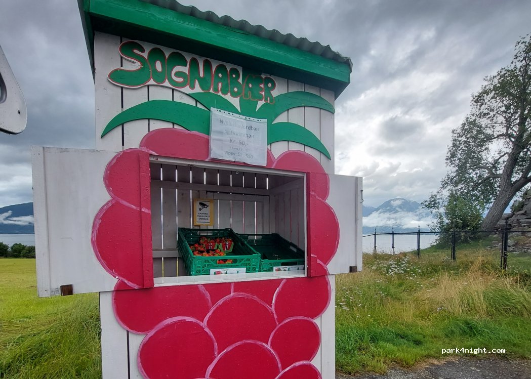 (6894) - Primær Fylkesvei 602 — foto 3