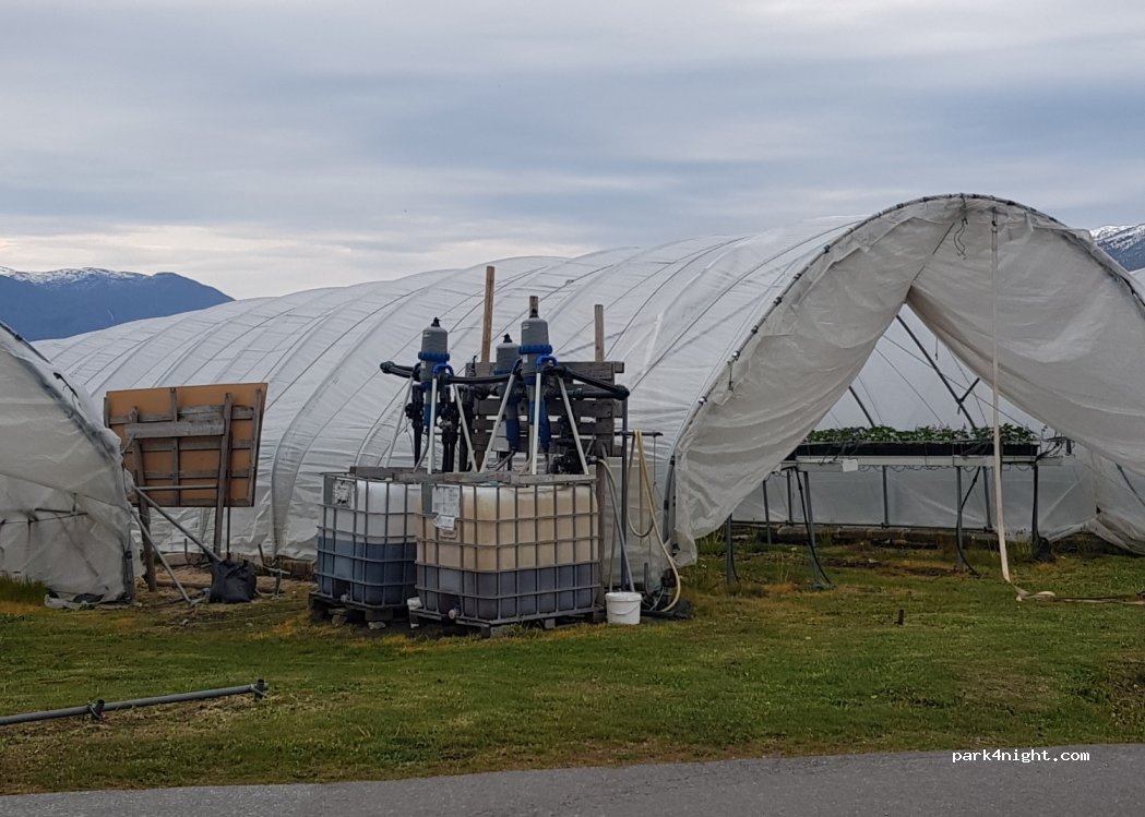(6894) - Primær Fylkesvei 602 — foto 4