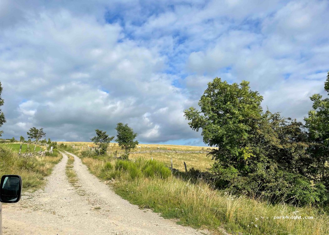 (12210) Laguiole - D900 — foto 2