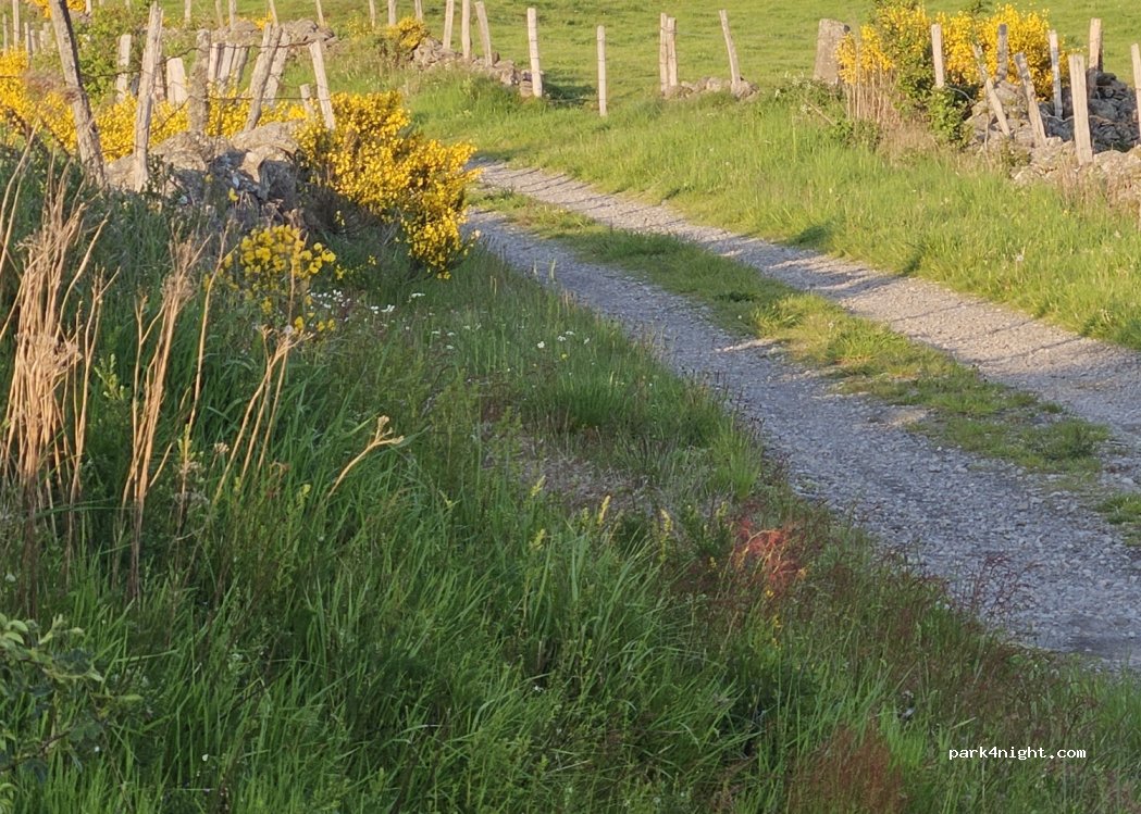 (12210) Laguiole - D900 — foto 4
