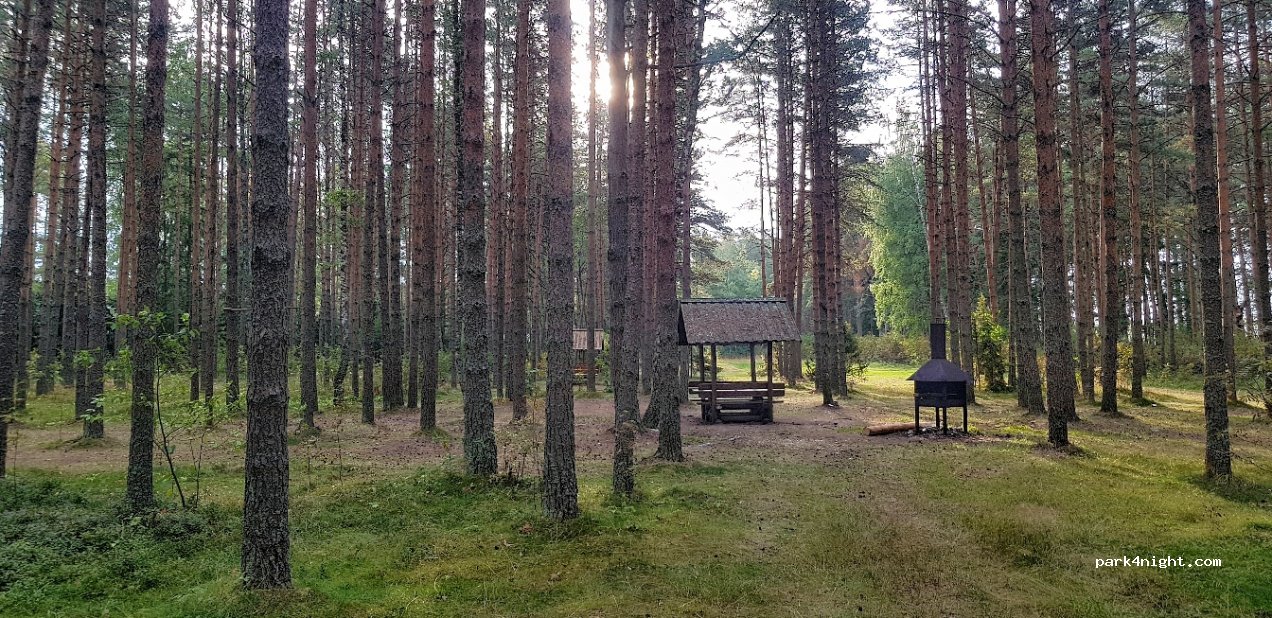 (41002) Karjamaa - — foto 3
